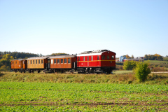 10.-Veterantog-med-diesellokomotiv-foto-Carsten-Lindby