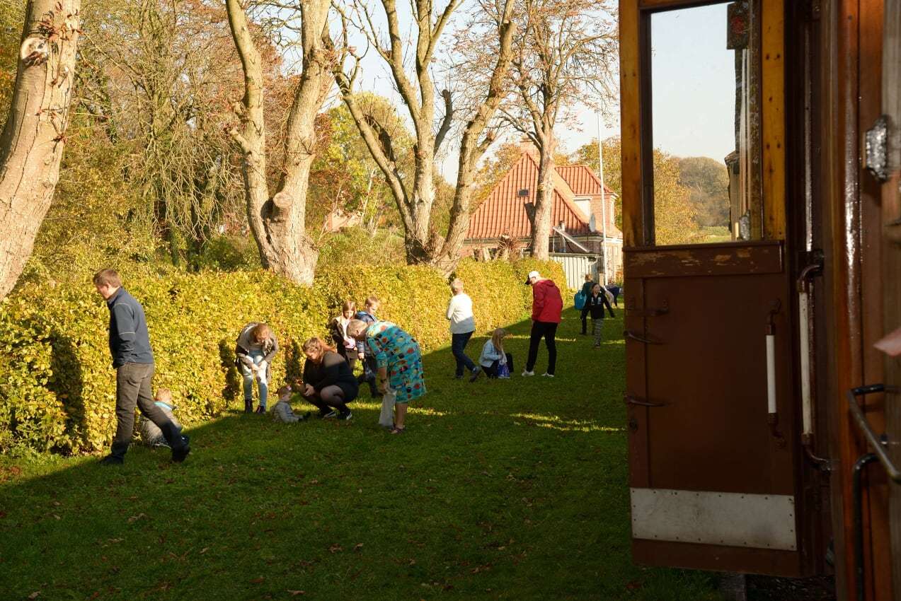 Gyldne-efteraarsfarver-gaar-haand-i-haand-med-kastanjeindsamlig.-Foto-Remi-Carsten-Lindby